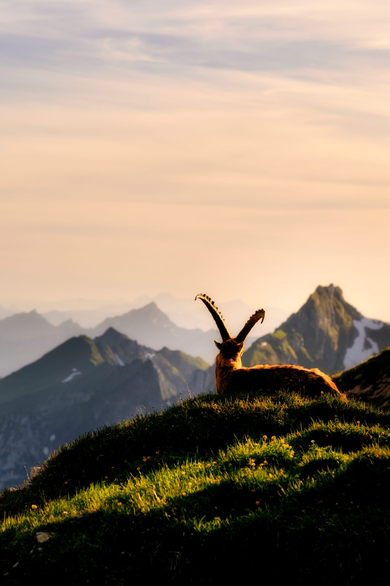 Lying in the sound of silence